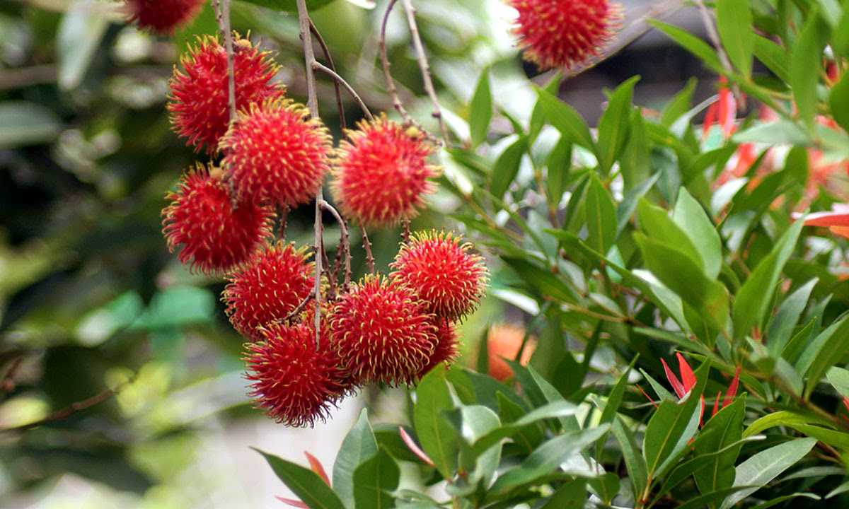 Jakarta-Day Trips from Jakarta: Escape the City and Explore 5 Must-See Natural Spots!
