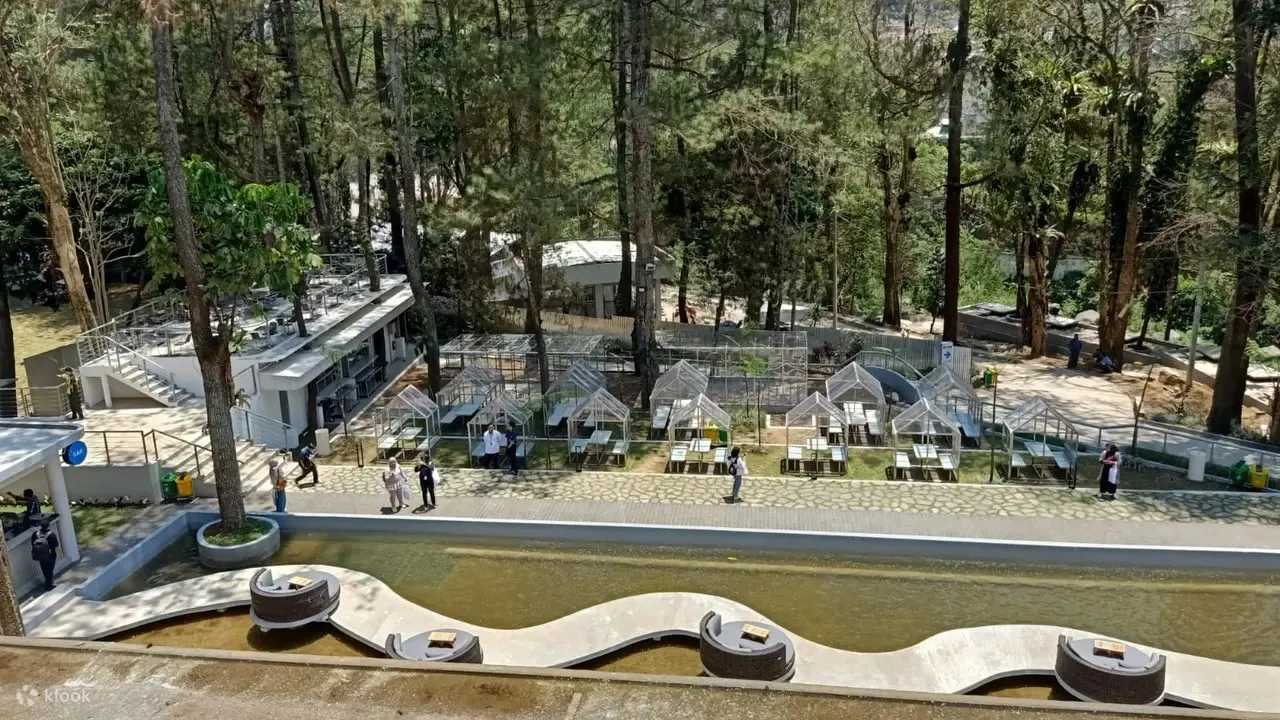 Jakarta-Bogor Safari and Heha Cafe Waterfall Day Tour from Jakarta