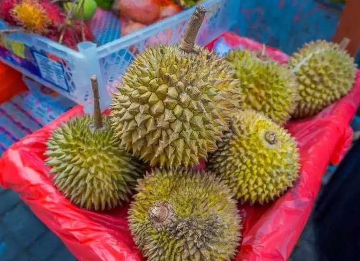 Jakarta-Colorful ASEAN: Indonesia, attractions, shopping malls and restaurants you must visit