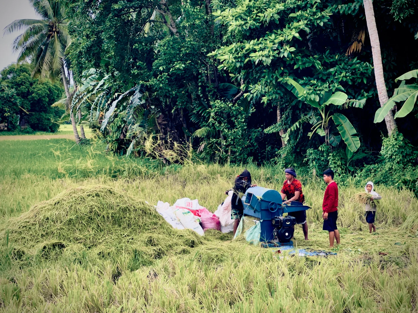 Manila/Luzon-Travel guide to Mayon Volcano in Manila, Philippines, beautiful natural scenery