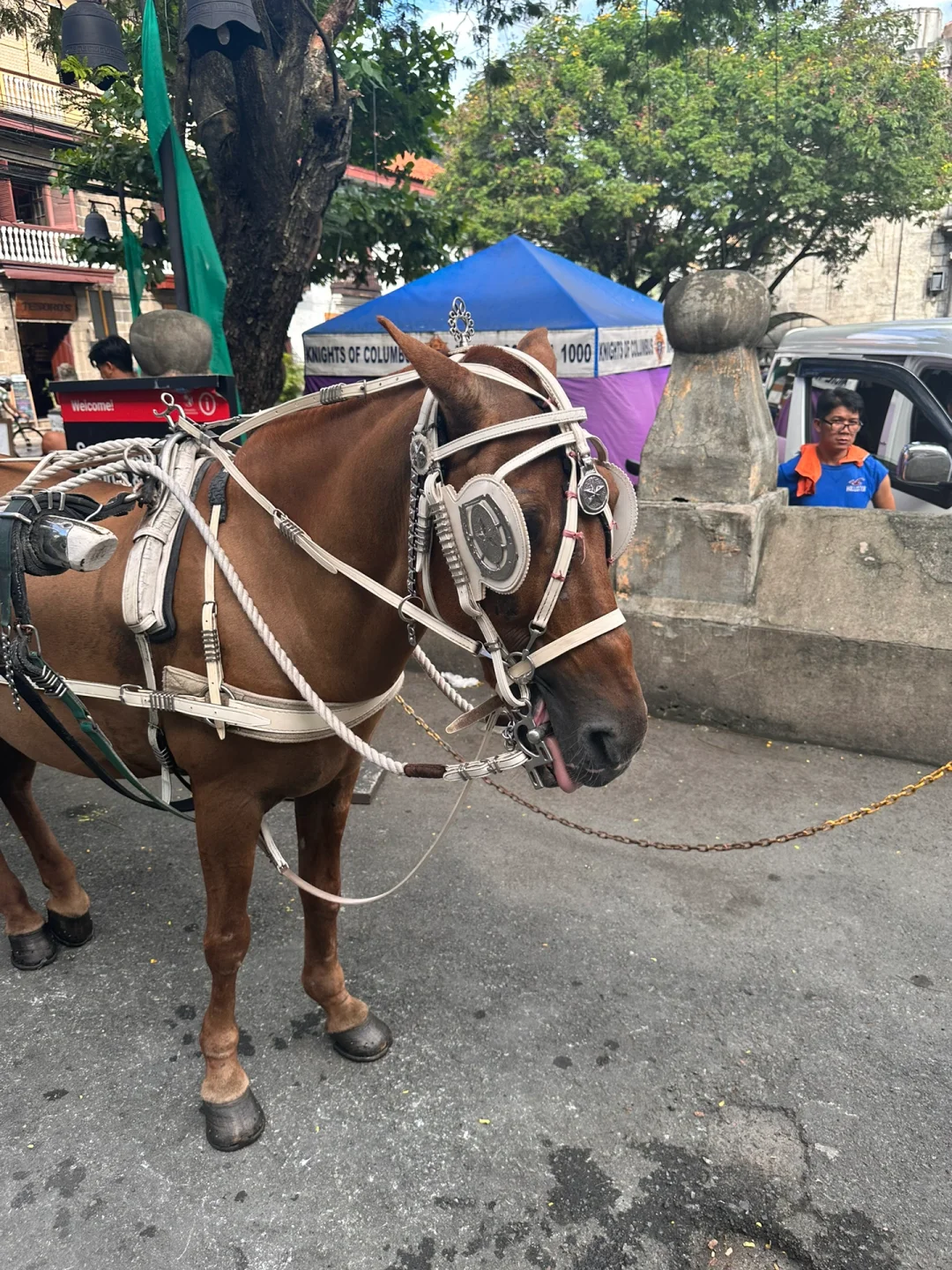 Manila/Luzon-Take a city walk in Intramuros, Manila, Philippines