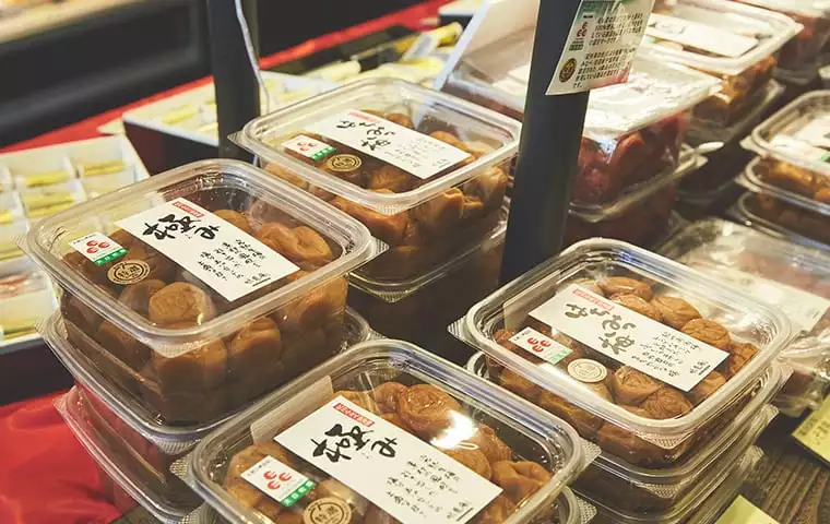 Tokyo-What Tokyo guide do you need? Tokyo Metro is the best travel guide