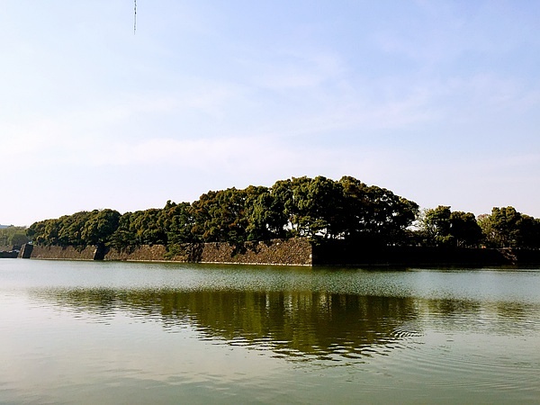 Tokyo-Traveling alone in Japan series, going to Tokyo in March during the cherry blossom season (guide + recommendations)