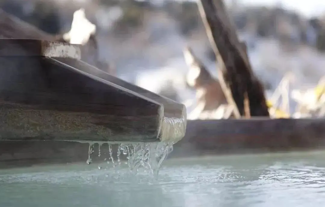 Tokyo-The most complete guide to hot springs around Tokyo, with 18 hot spring hotels and inns collected