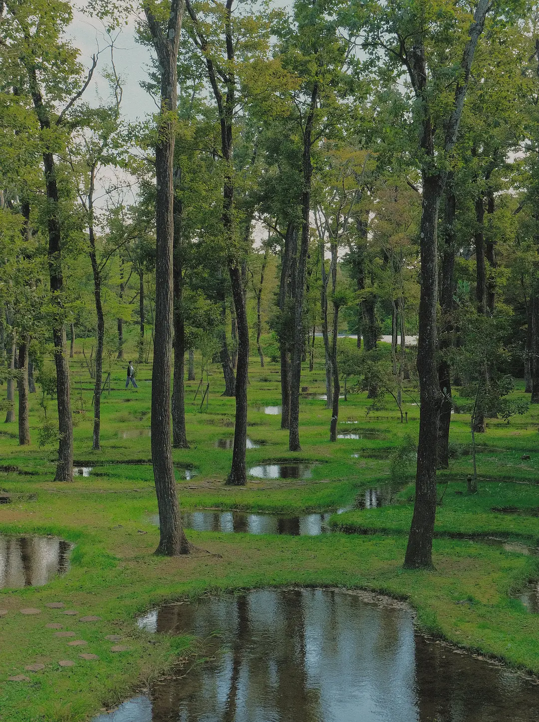 Tokyo-Nasu Salt Garden, a popular tourist destination near Tokyo