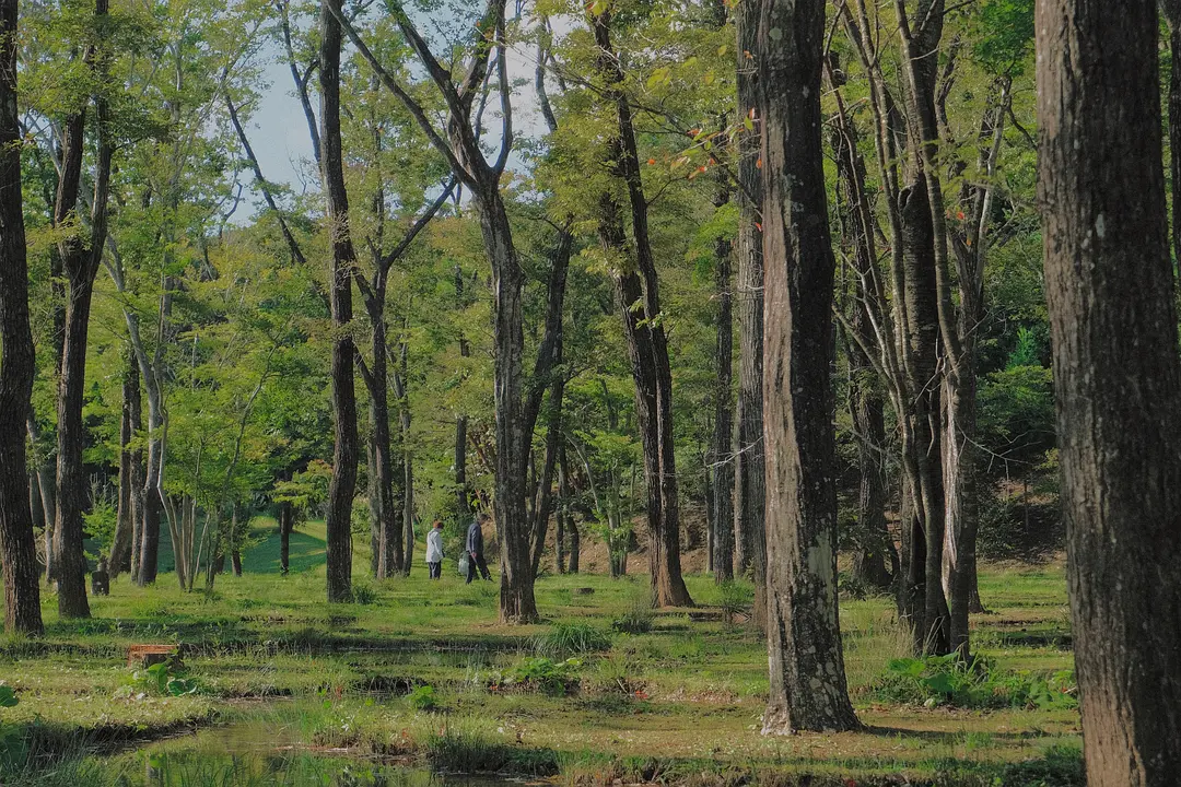Tokyo-Nasu Salt Garden, a popular tourist destination near Tokyo