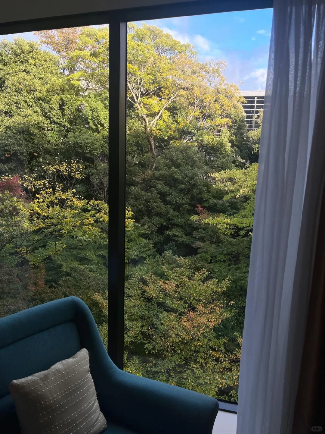 Tokyo-Sheraton Grande Tokyo Bay Hotel, $100 a night, with 5 restaurants and bars