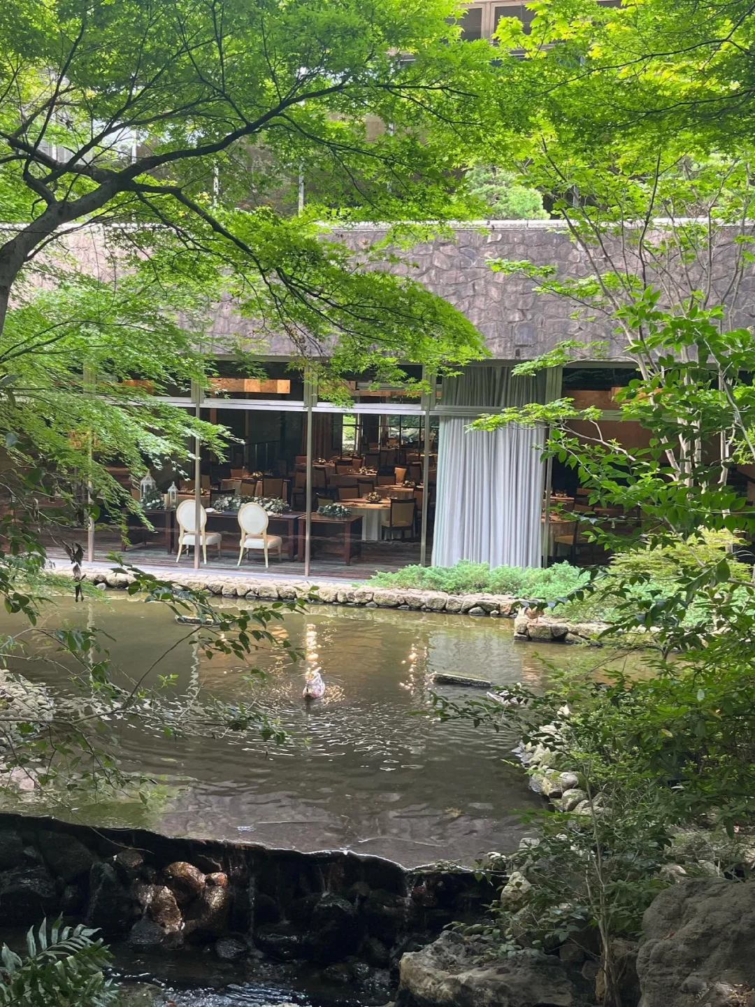 Tokyo-Sheraton Grande Tokyo Bay Hotel, $100 a night, with 5 restaurants and bars