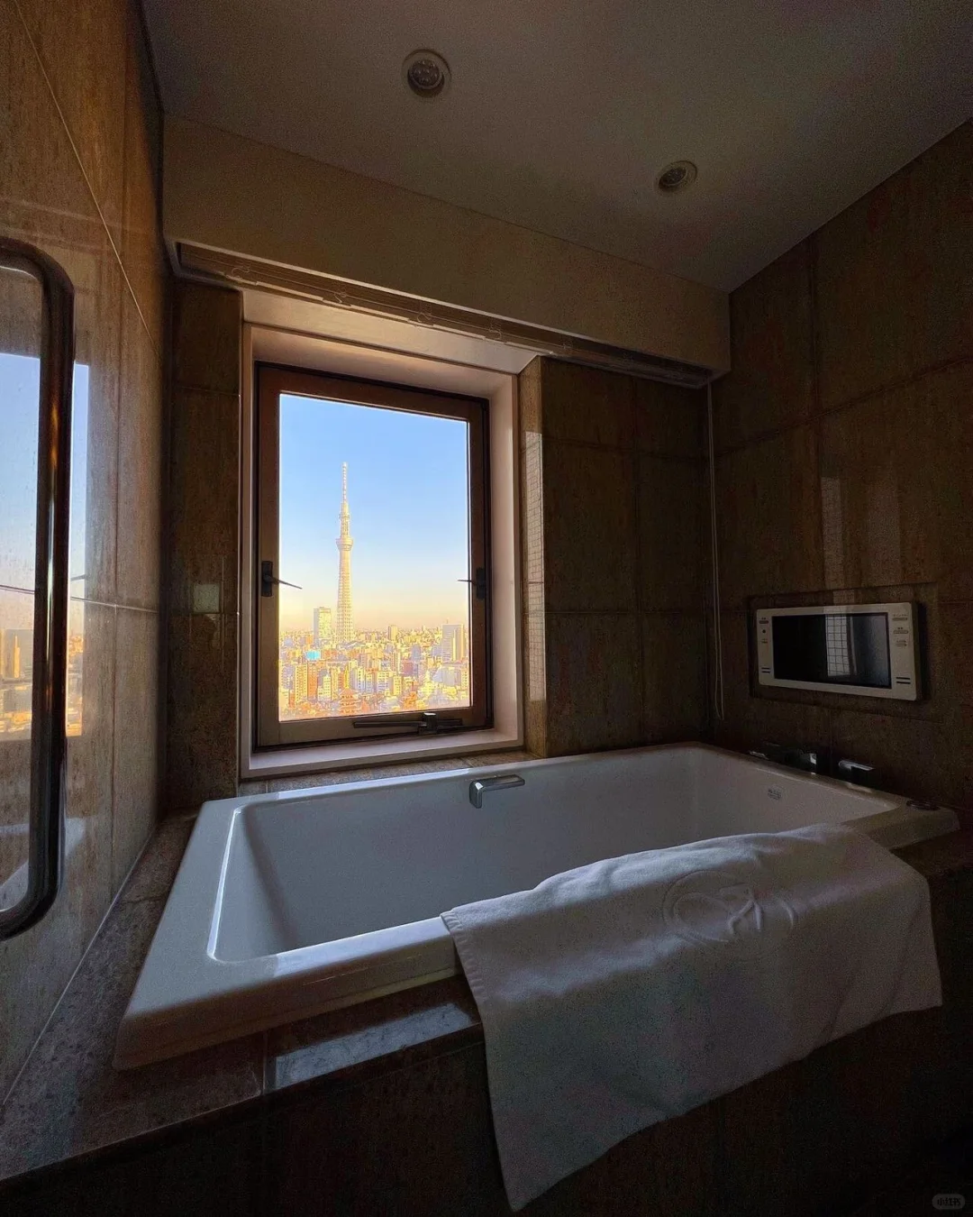 Tokyo-Staying in a Tokyo hotel for as low as $40 is super cost-effective and worth it