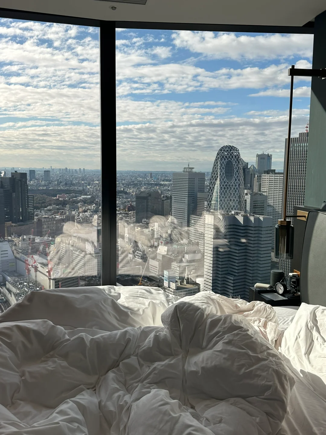 Tokyo-A Pan Pacific Hotel by GHA overlooks the Tokyo city landscape
