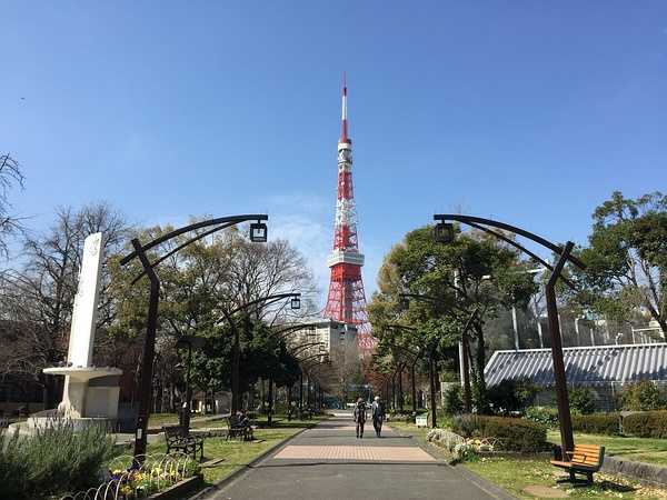 Tokyo-Traveling alone in Japan series, going to Tokyo in March during the cherry blossom season (guide + recommendations)