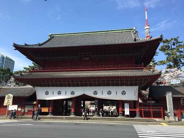 Tokyo-Traveling alone in Japan series, going to Tokyo in March during the cherry blossom season (guide + recommendations)