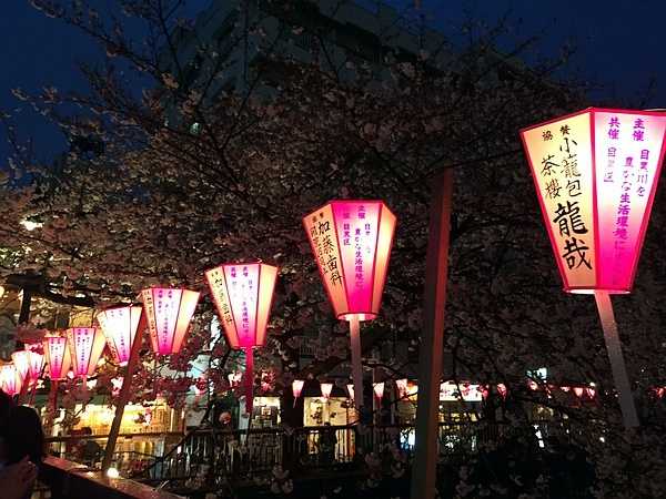 Tokyo-Traveling alone in Japan series, going to Tokyo in March during the cherry blossom season (guide + recommendations)