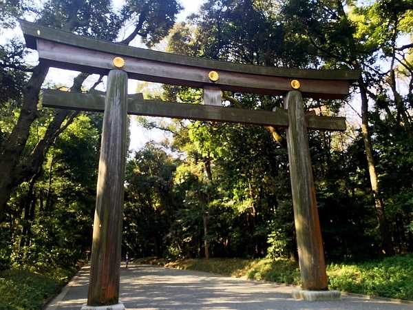 Tokyo-Traveling alone in Japan series, going to Tokyo in March during the cherry blossom season (guide + recommendations)