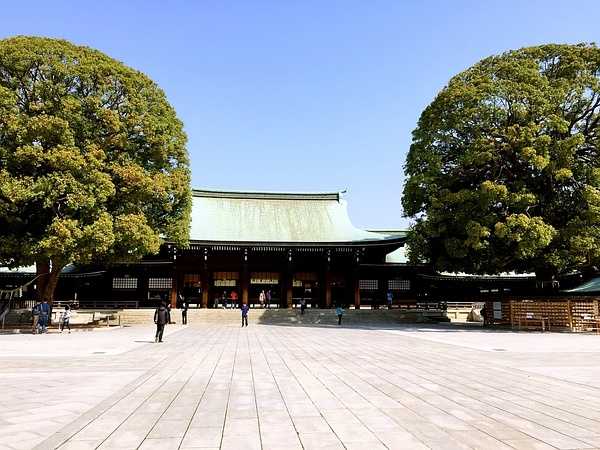 Tokyo-Traveling alone in Japan series, going to Tokyo in March during the cherry blossom season (guide + recommendations)