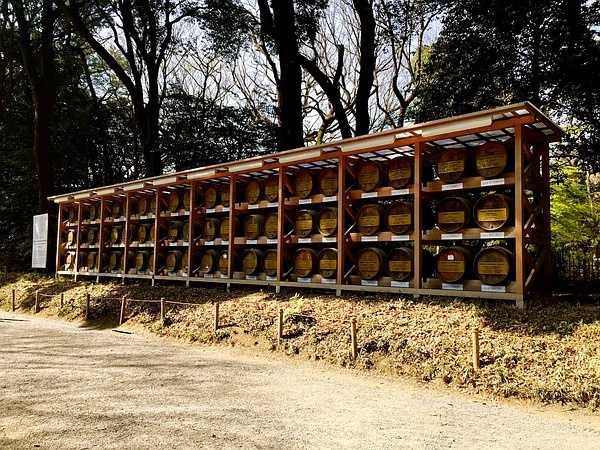 Tokyo-Traveling alone in Japan series, going to Tokyo in March during the cherry blossom season (guide + recommendations)