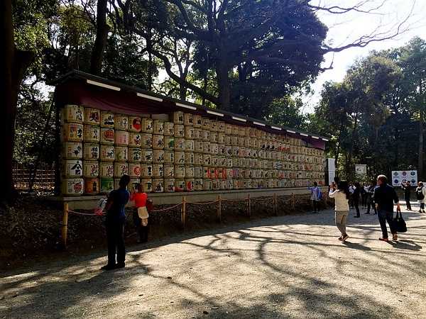 Tokyo-Traveling alone in Japan series, going to Tokyo in March during the cherry blossom season (guide + recommendations)