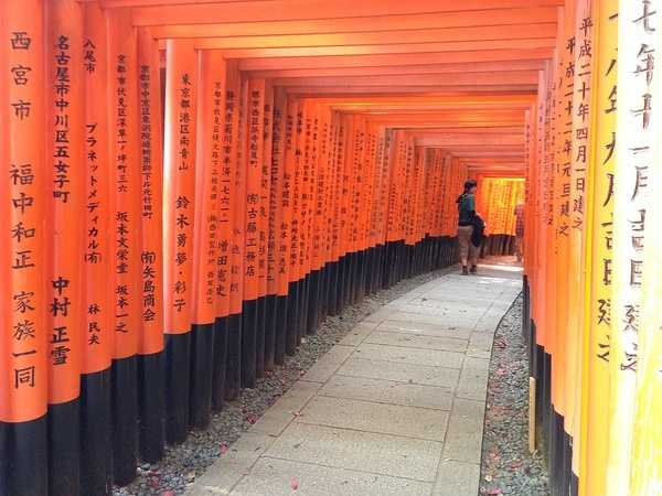 Tokyo-9-day trip to Kyoto, Hakone and Tokyo, Japan, detailed itinerary guide