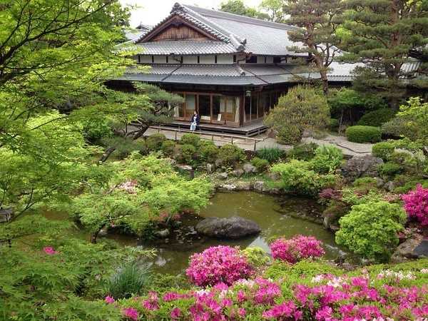 Tokyo-9-day trip to Kyoto, Hakone and Tokyo, Japan, detailed itinerary guide