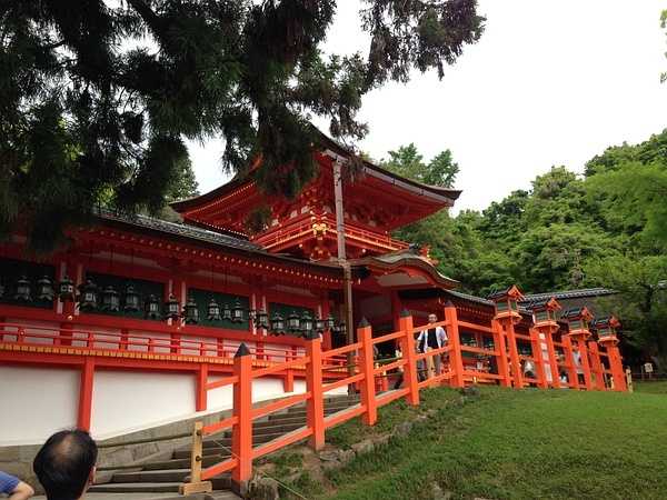 Tokyo-9-day trip to Kyoto, Hakone and Tokyo, Japan, detailed itinerary guide