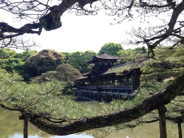 Tokyo-9-day trip to Kyoto, Hakone and Tokyo, Japan, detailed itinerary guide
