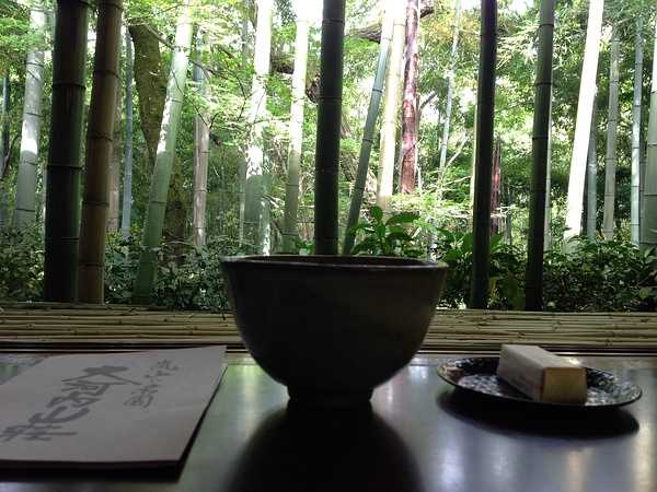 Tokyo-9-day trip to Kyoto, Hakone and Tokyo, Japan, detailed itinerary guide