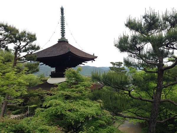 Tokyo-9-day trip to Kyoto, Hakone and Tokyo, Japan, detailed itinerary guide