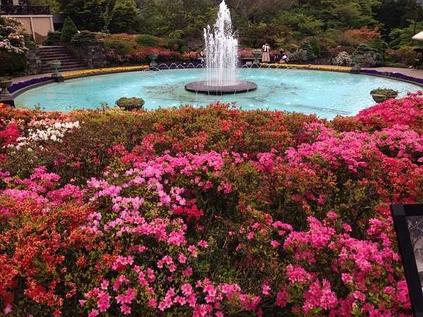 Tokyo-9-day trip to Kyoto, Hakone and Tokyo, Japan, detailed itinerary guide