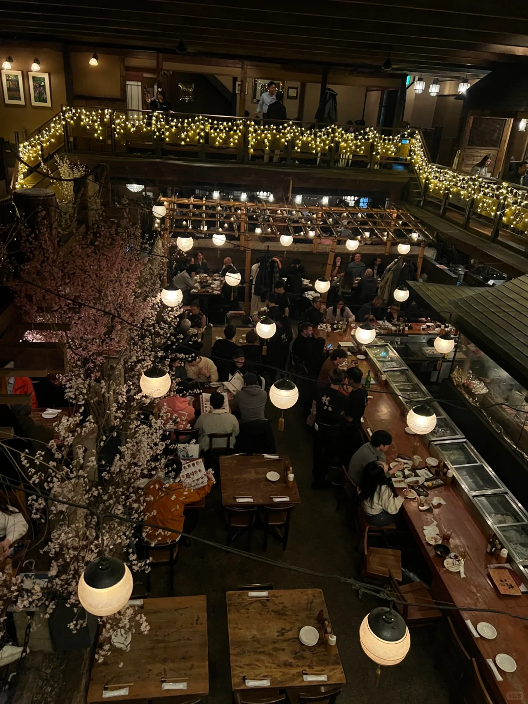 Tokyo-Tokyo food, TOP 10 restaurants I recommend, eel rice, ramen and oden are the highlights