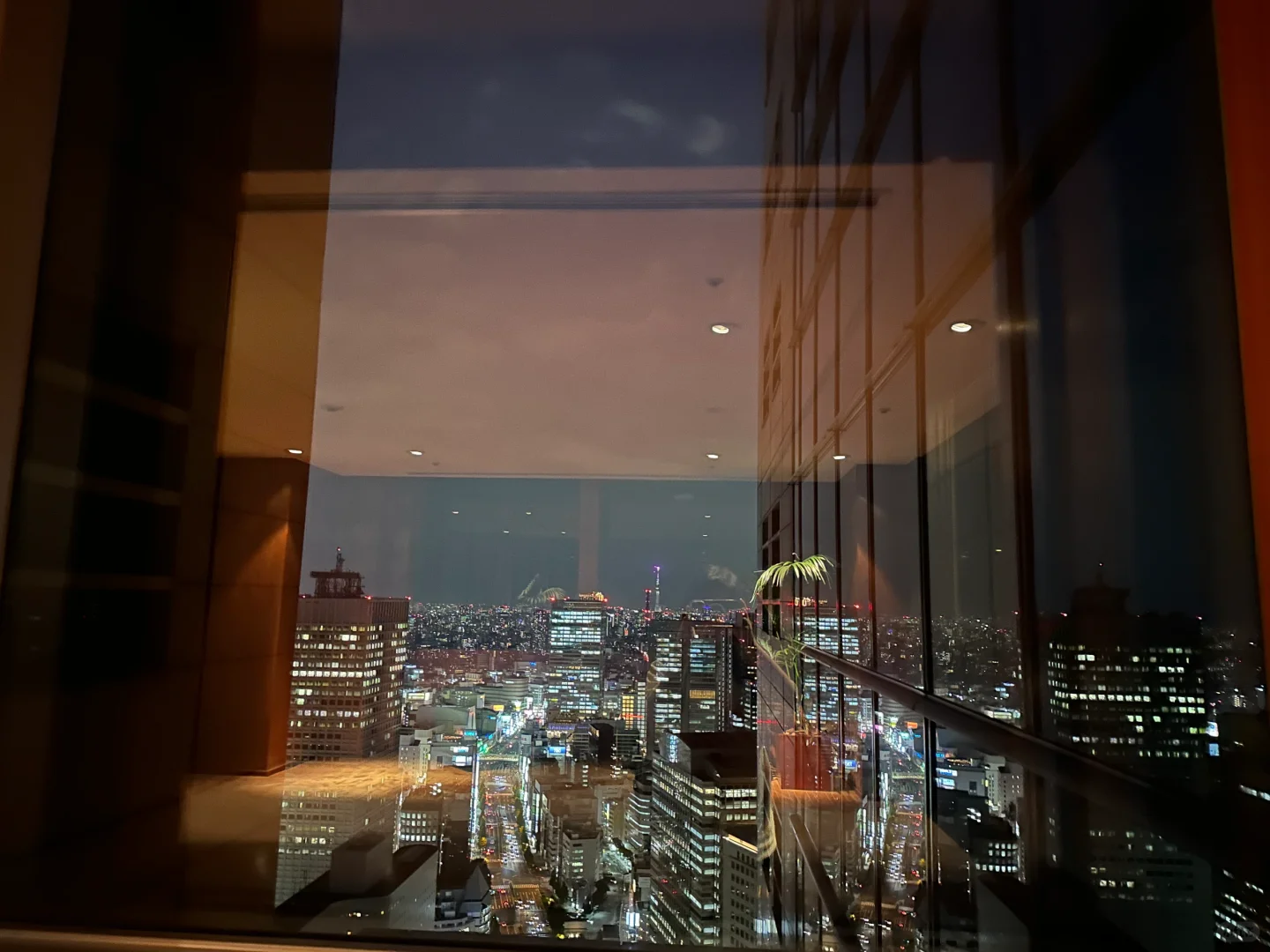 Tokyo-Park Hyatt Tokyo 52F New York Bar, Whiskey and Loneliness