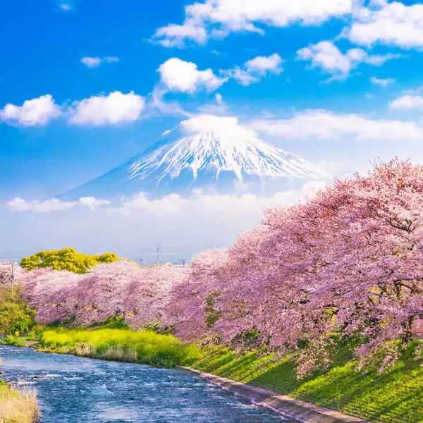 Tokyo-How many of the eleven attractions in Tokyo, Japan have you visited?