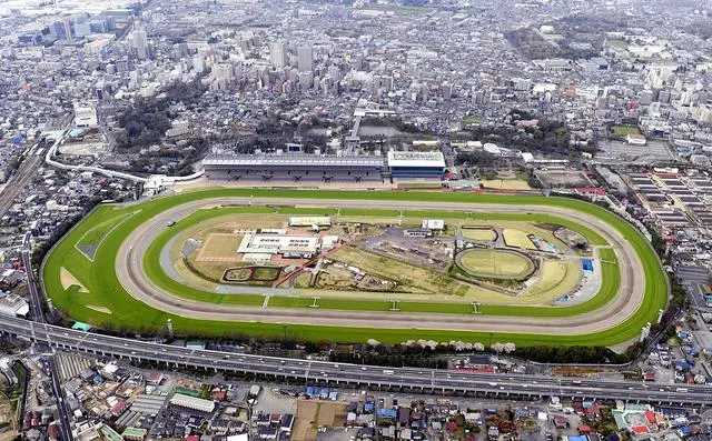 Tokyo-How many of the eleven attractions in Tokyo, Japan have you visited?