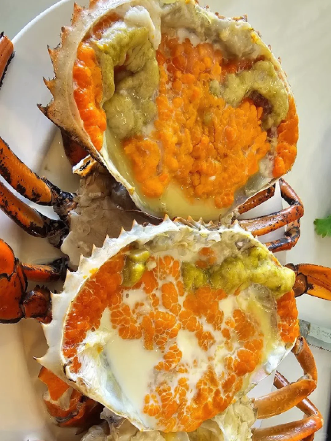 Bangkok-Kin Kub Koi, Bangkok's seafood restaurant is full of locals, recommended crab rice