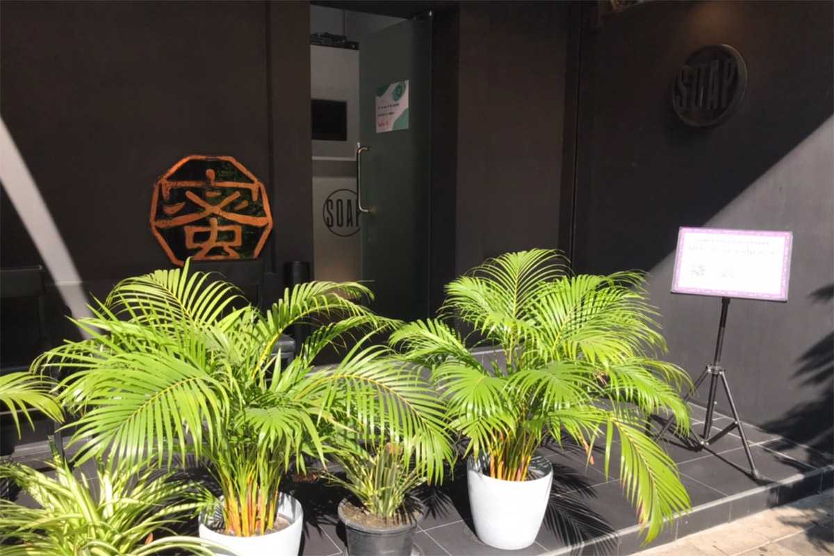 Bangkok-2024 Check out 6 Japanese erotic massage shops in Bangkok, enjoy sexy services from head to toe