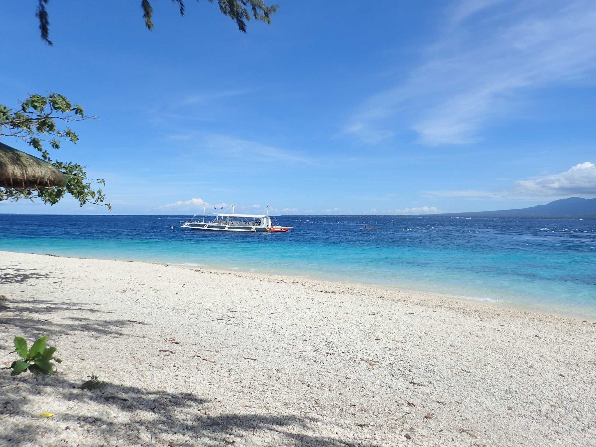 Manila/Luzon-Diving destinations: Free travel to Manila, Dumaguete, and Dauin, Philippines