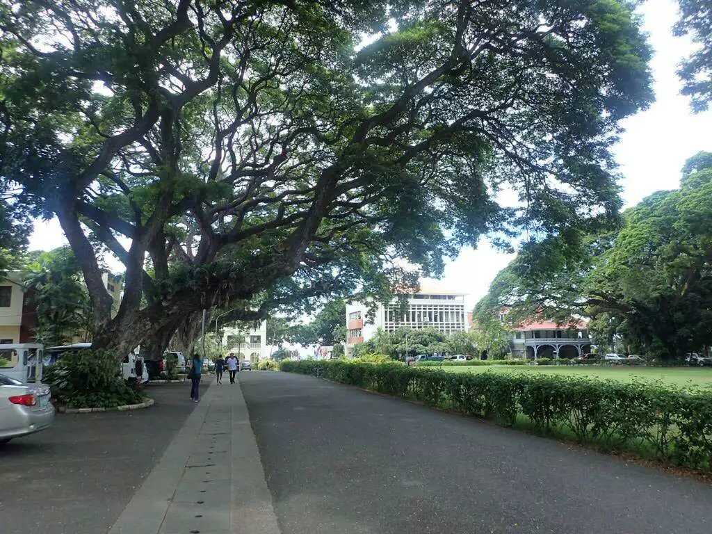Manila/Luzon-Diving destinations: Free travel to Manila, Dumaguete, and Dauin, Philippines
