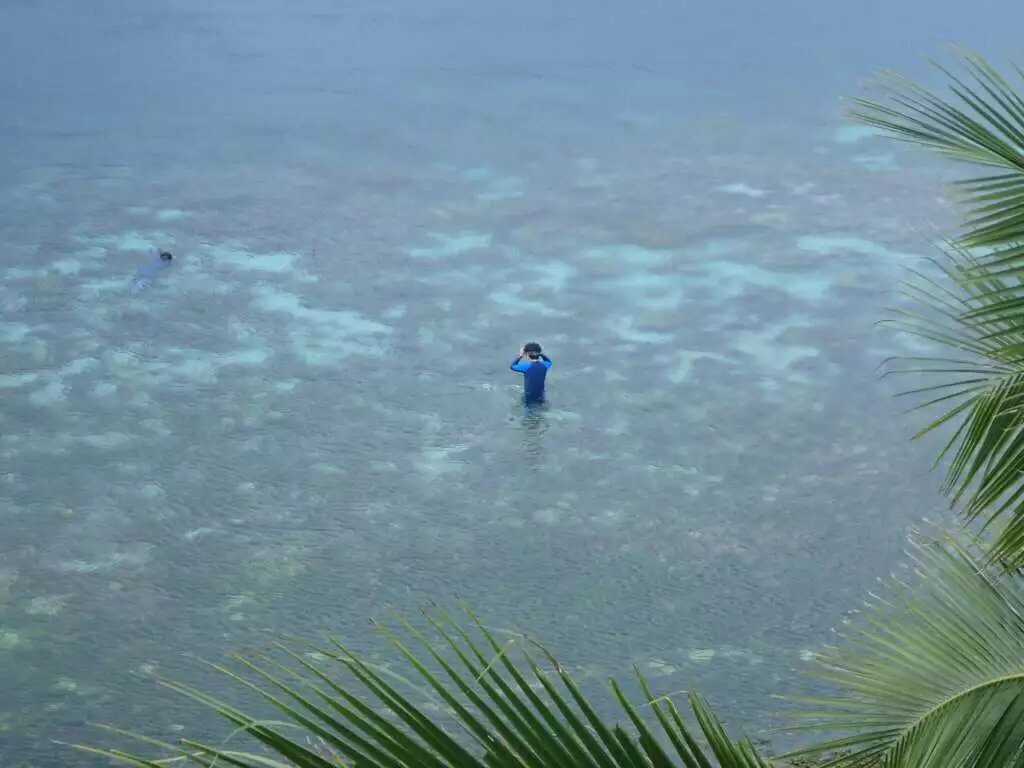 Manila/Luzon-Diving destinations: Free travel to Manila, Dumaguete, and Dauin, Philippines