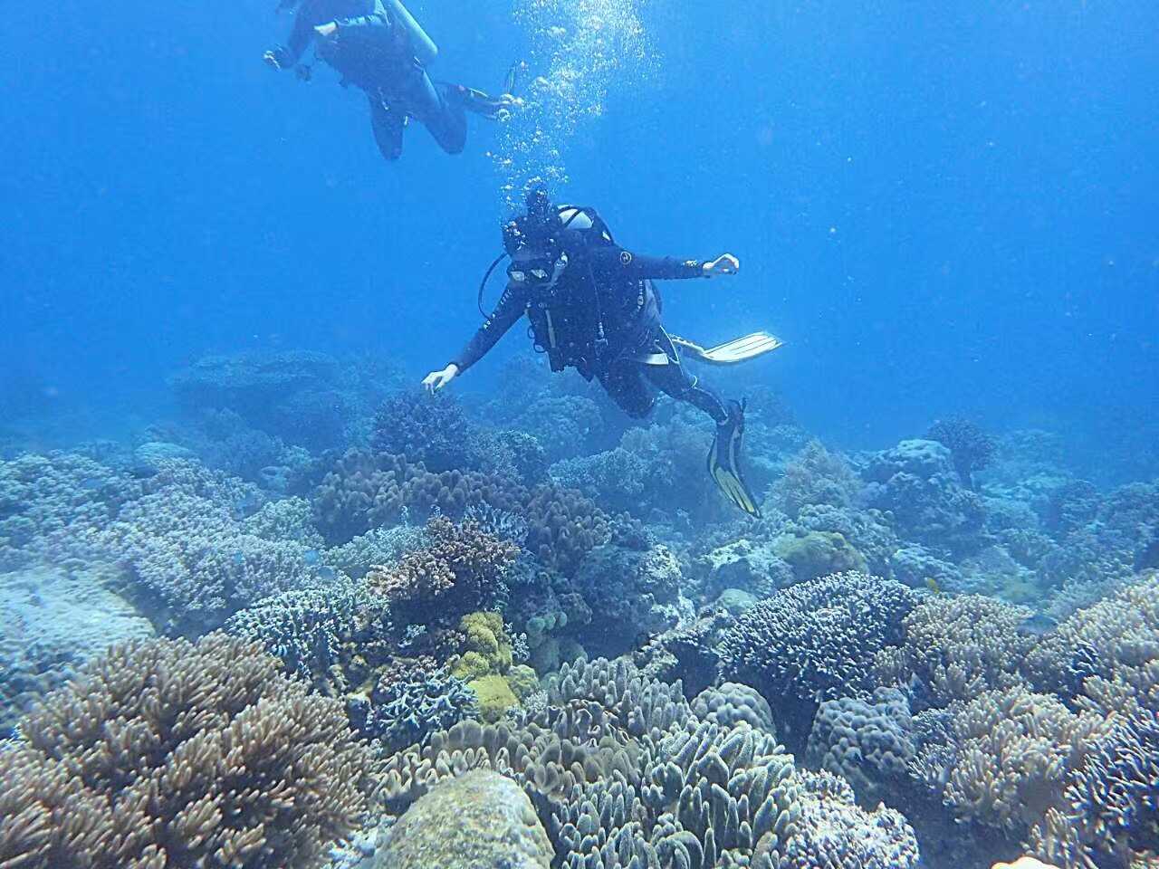 Manila/Luzon-Diving destinations: Free travel to Manila, Dumaguete, and Dauin, Philippines