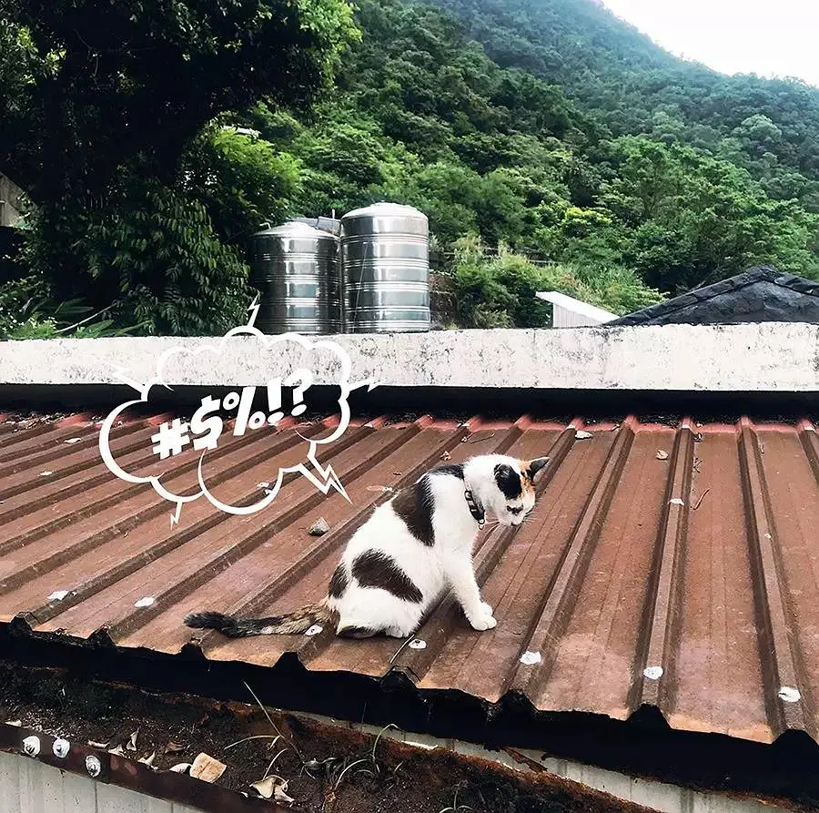 Taiwan-Taiwan, every well-known Taiwanese pop song can bring back beautiful memories of youth