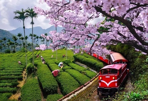 Taiwan-Taiwan's various customs make you fall in love at first sight and become addicted to it after seeing it again