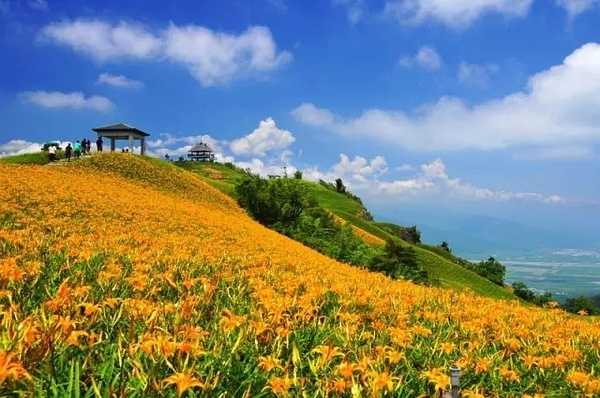 Taiwan-Taiwan's various customs make you fall in love at first sight and become addicted to it after seeing it again