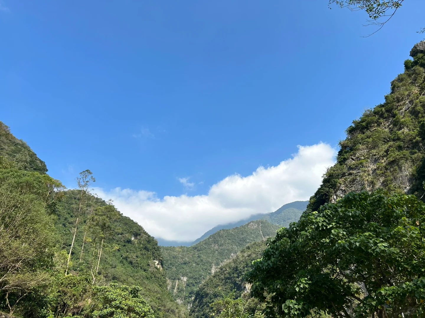 Taiwan-Charter a car for travel in Hualien, Taiwan. The drivers are all locals and are familiar with the local environment.