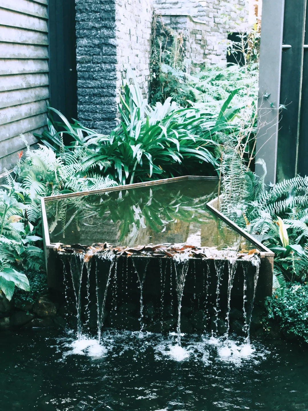 Taiwan-Laziness leads to wasting your life at Hoshinoya Guguan Hotel Taichung