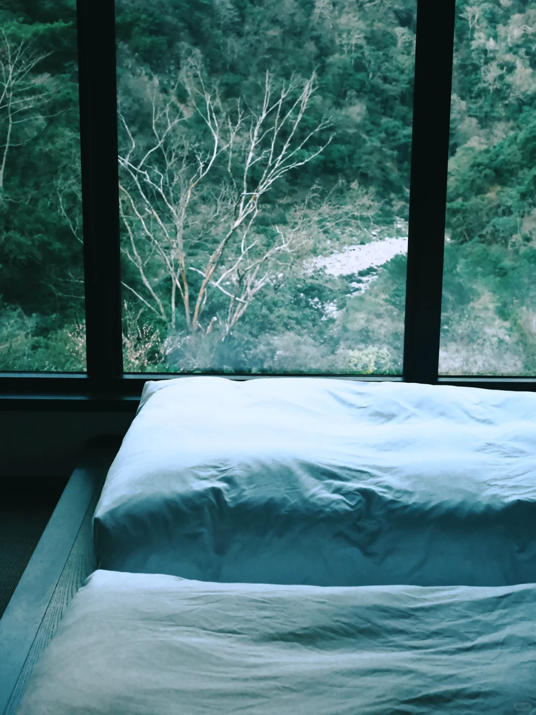 Taiwan-Laziness leads to wasting your life at Hoshinoya Guguan Hotel Taichung
