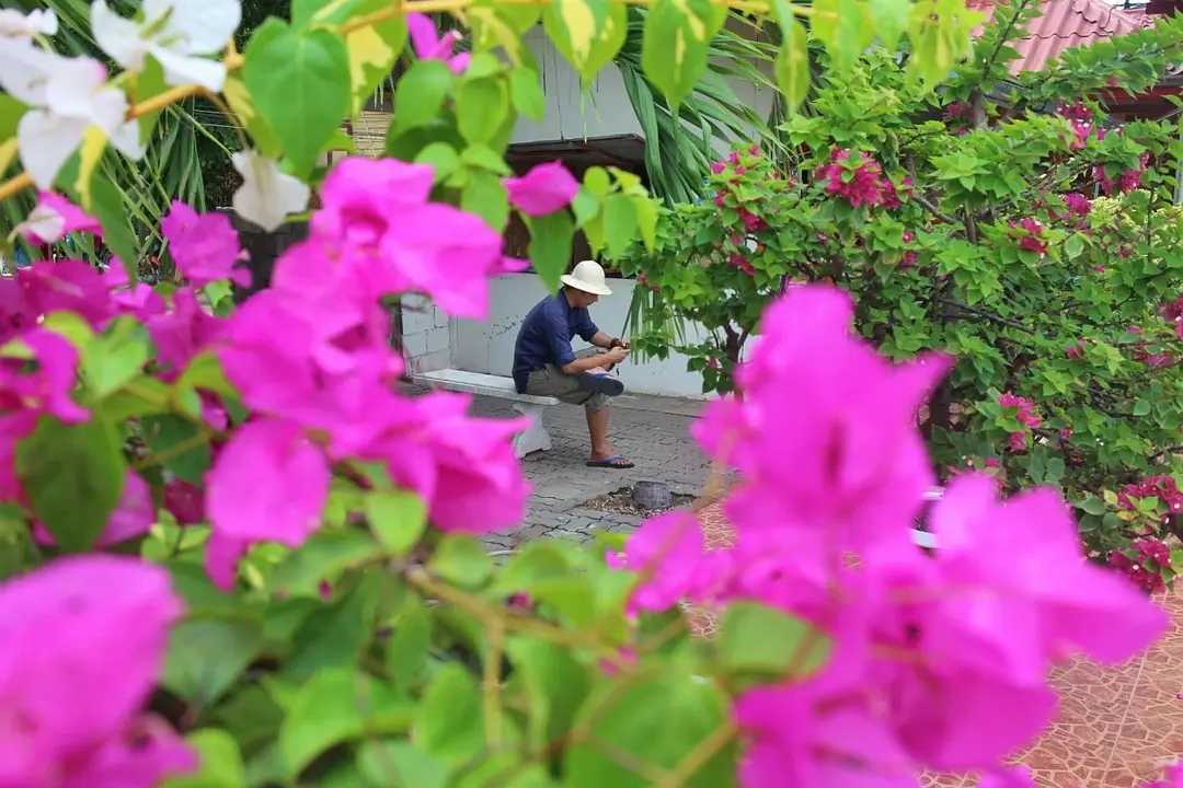 Pattaya-The sea of ​​Thailand and the seaside town of Hua Hin where people go to search for memories of past lives