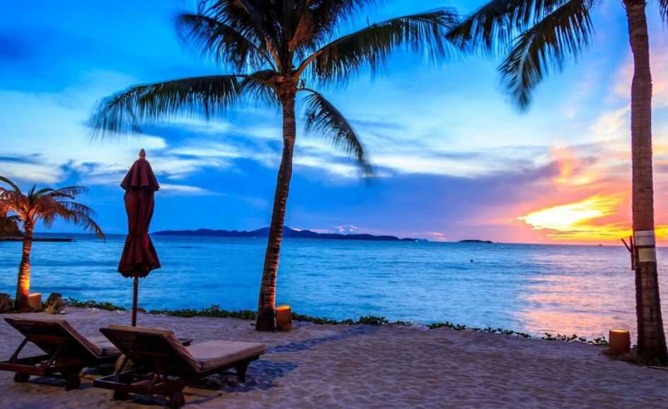 Pattaya-Pattaya's top three tourist attractions guide for 2024. Nong Nooch Tropical Garden, Koh Larn, Pattaya Beach