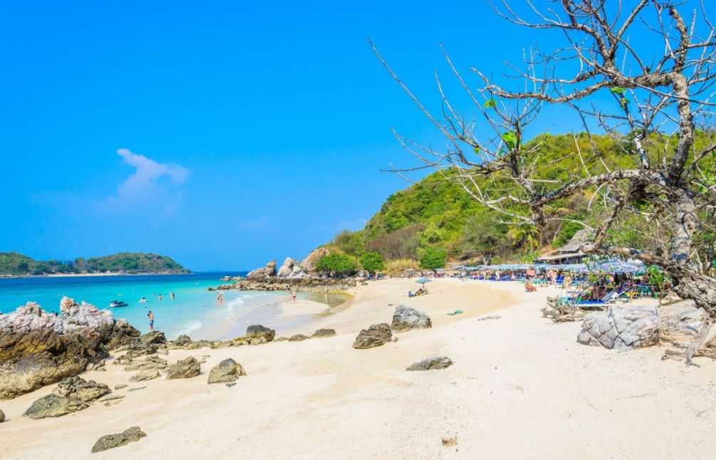 Pattaya-Pattaya's top three tourist attractions guide for 2024. Nong Nooch Tropical Garden, Koh Larn, Pattaya Beach