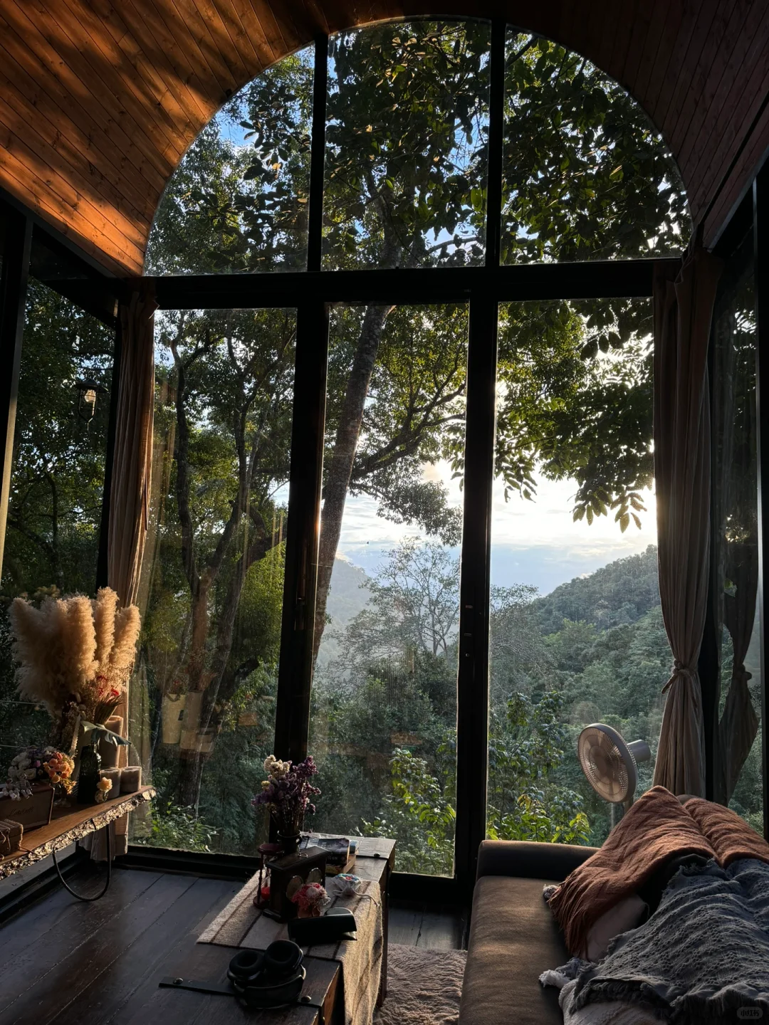 Chiang Mai-Chiang Mai Glass Tree House Hotel Taloh Cabin. Only accept Facebook bookings