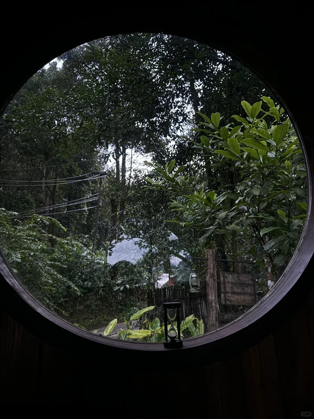 Chiang Mai-Chiang Mai Glass Tree House Hotel Taloh Cabin. Only accept Facebook bookings