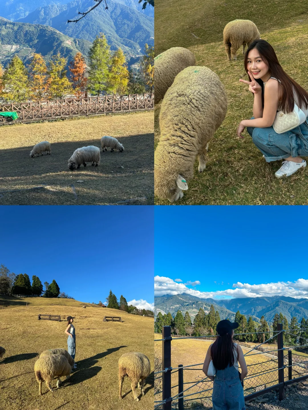 Taiwan-Taiwan travel fragments, delicious, fun and beautiful things are all here